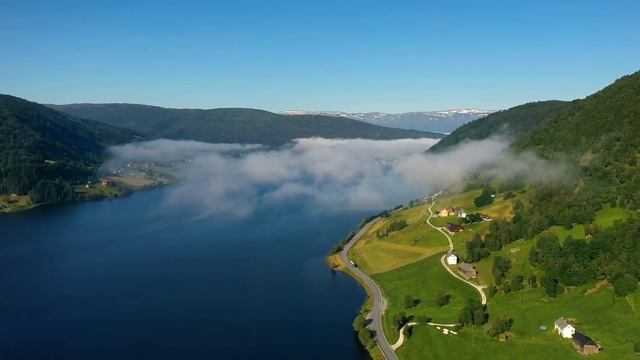 Музыка для лечения сердечно-сосудистой системы🌿Нежн