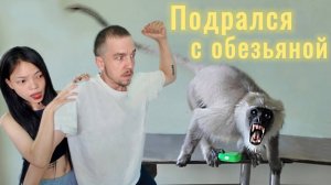 #2 Выживаем с Вьетнамкой на СКУТЕРЕ через ВСЮ Индию