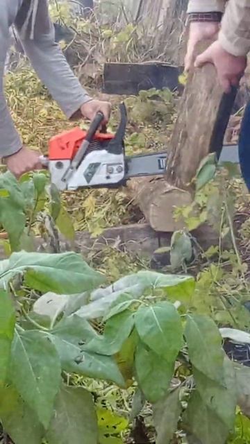 Звук бензопилы,Готовим дрова на зиму смотреть онлайн