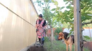 Первые заготовки. Зелень впрок. Носочки для огорода. Работа в кайф. Жизнь семьи в деревне.