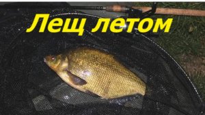 КАК ЛОВИТЬ ЛЕЩА в ИЮНЕ? НАЖИВКИ для ЛОВЛИ ЛЕЩА летом. МЕСТА и СНАСТИ для ЛОВЛИ ЛЕЩА в ИЮНЕ