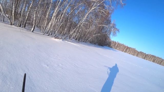 ОХОТА на ЗАЙЦА ОХОТА на ЛЫЖАХ ПОДНЯЛ с ЛЕЖКИ ЗАЙЦА ДО смотреть онлайн