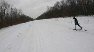 Классические лыжи на камусе Rossignol Delta Comp R-Skin, Kastle RX10 (17.03