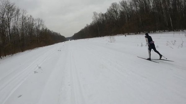 Классические лыжи на камусе Rossignol Delta Comp R-Skin, Kastle RX10 (17.03