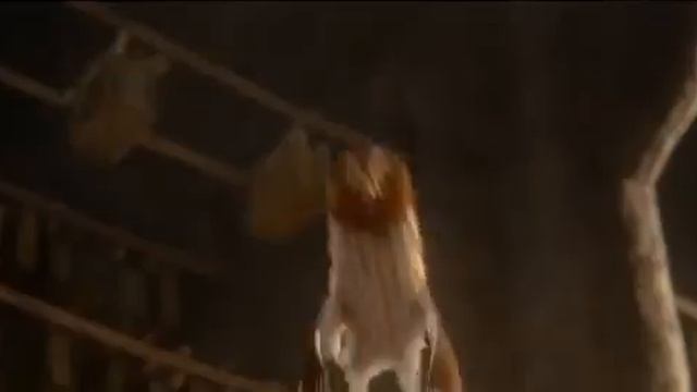 Легенды ночных стражей смотреть онлайн