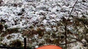 Измельчитель садовый для веток Affe Профи для мотоблока