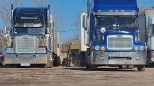 Риферные Движухи туда сюда) там сям))