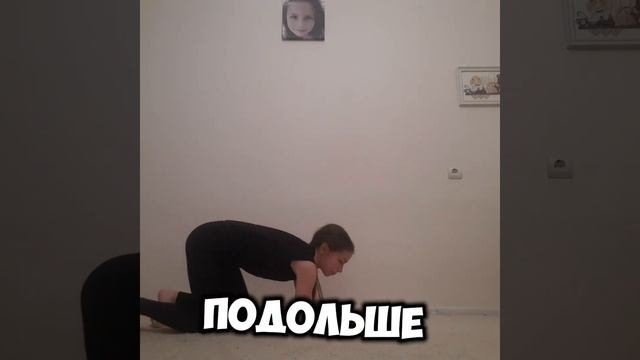 Йога ЧЕЛЛЕНДЖ С ЖИВОТНЫМИ!🐈🐱🐶ПОВТОРЯЮ ЙОГА ПОЗЫ! смотреть онлайн