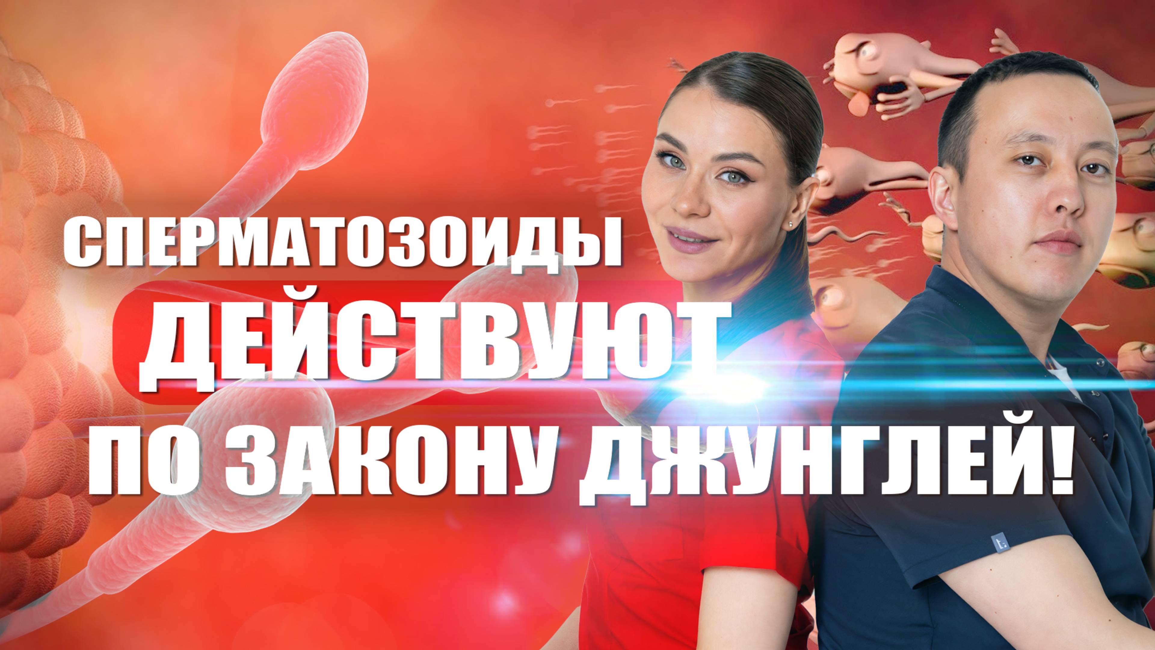 Сперматозоиды действуют по закону джунглей!Светлана Малханова гинеколог Ширип Малханов уролог
