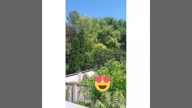 Путешествие по Острову Любви смотреть онлайн