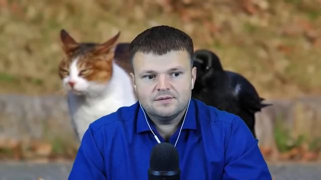 Оскорбления от коллектора Сбера. Как не платить кредит 2025 смотреть онлайн