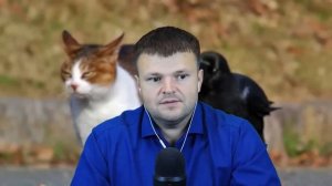 Оскорбления от коллектора Сбера. Как не платить кредит 2025