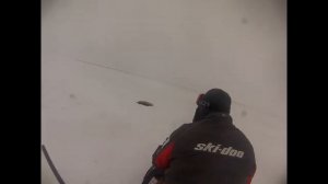 Охота на волков в Казахстане 2015 г.