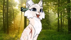 РЕАКЦИЯ НА @moon_rainbow2500 (убивает квшников? ) КВ #кв #котыво?