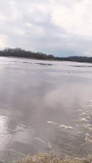 Вечер,рыбалка,река Иньва#рекаиньва#рекаИньва