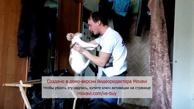 терминатор 5 ГИнезиСС