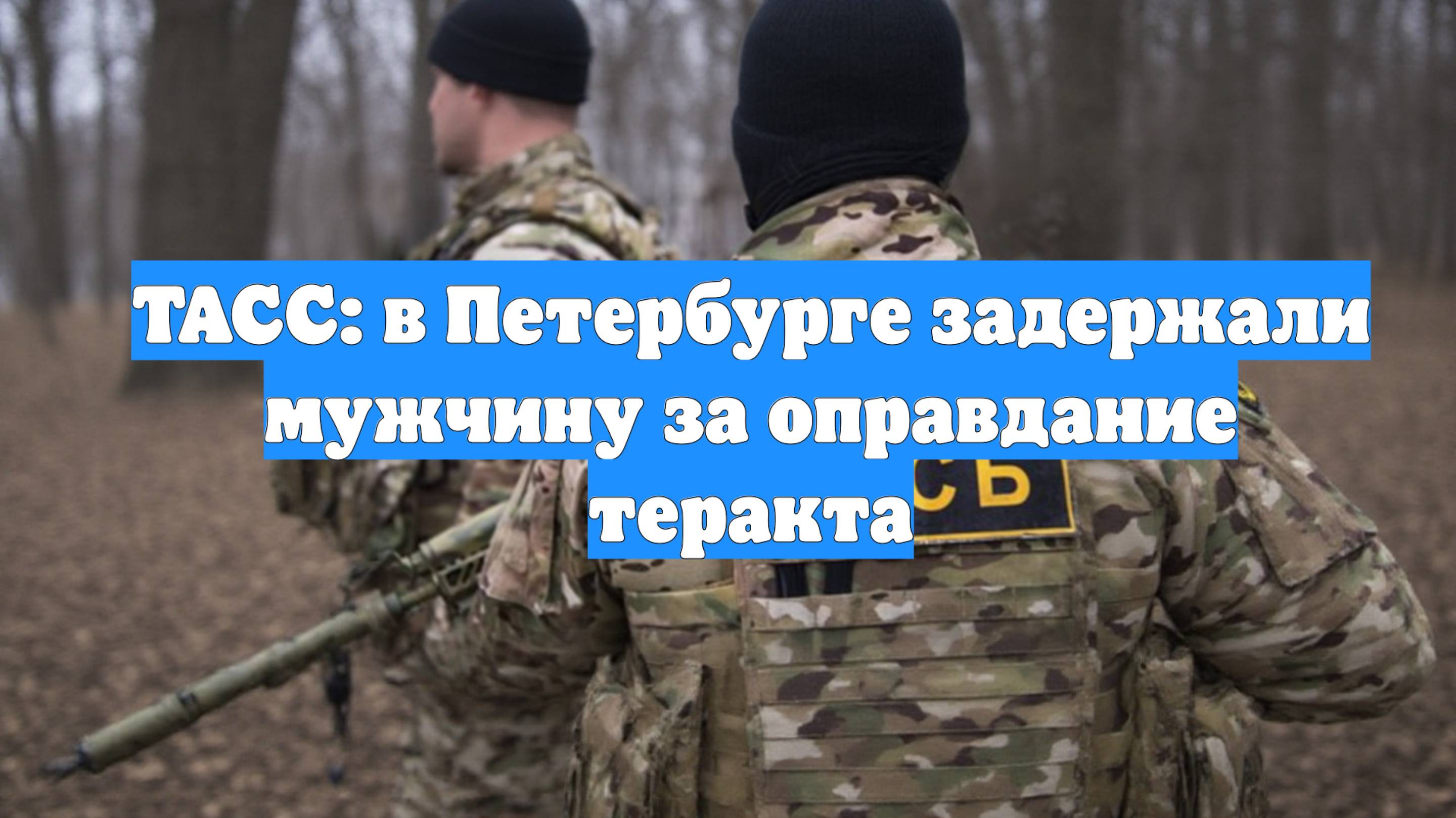 ТАСС: в Петербурге задержали мужчину за оправдание теракта
