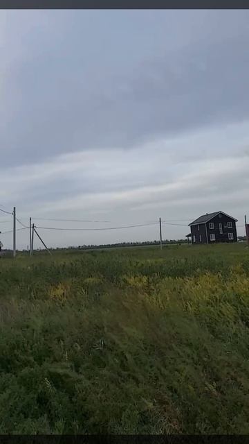 2451639 смотреть онлайн