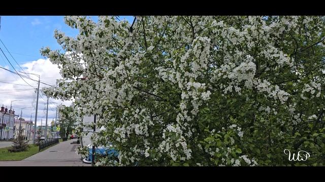 29 мая 2025 г.    (ЕНИСЕЙСК)