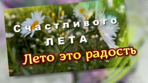 4 июня день любителей лета. Счастливого лета. Лето - это радость