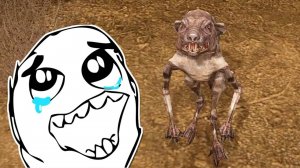 Мой Новый Друг - STALKER Возвращение в Зону #25
