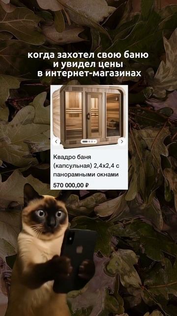 Своя баня на даче #shibargan #банякупить #юмор смотреть онлайн