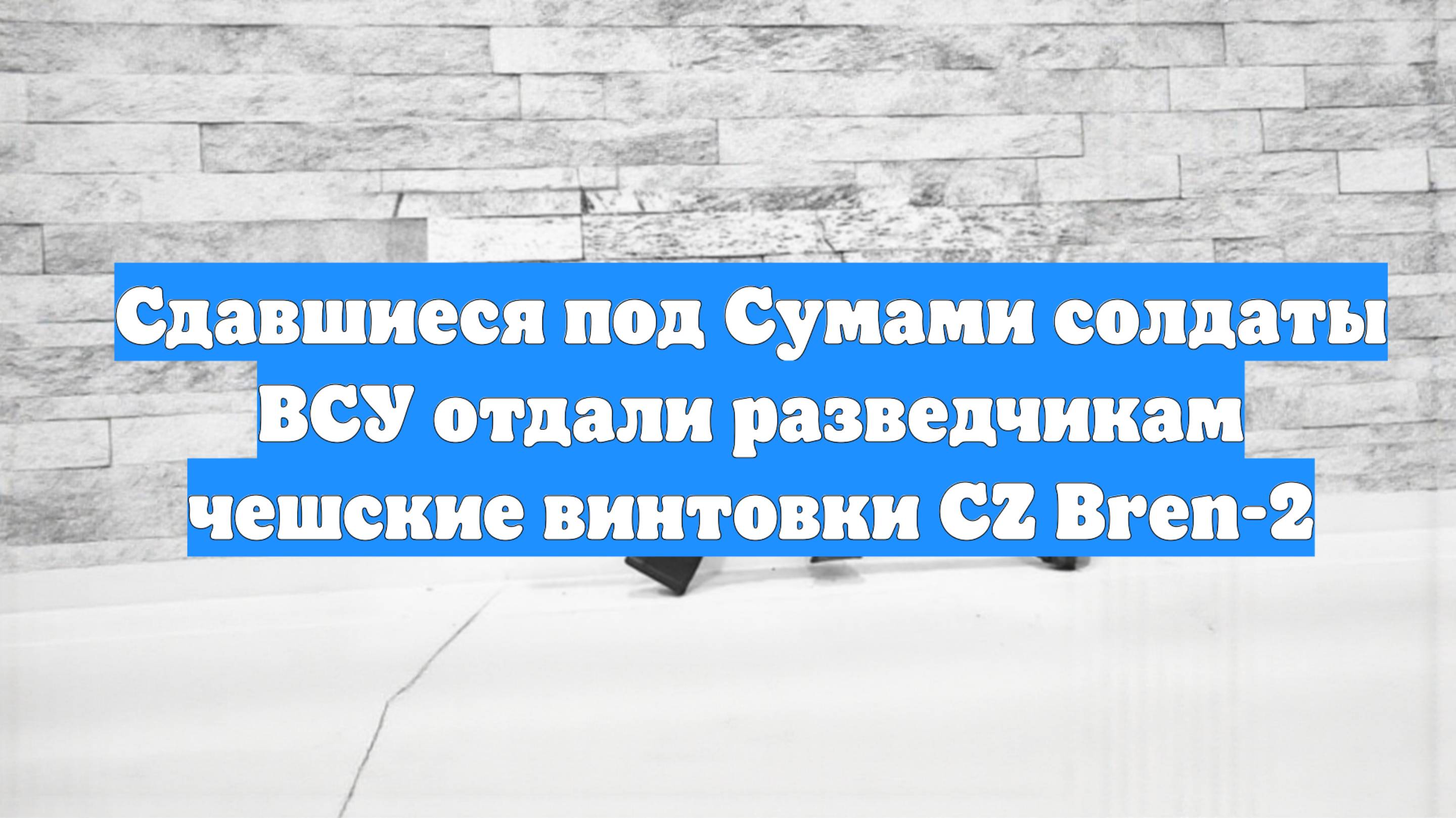 Сдавшиеся под Сумами солдаты ВСУ отдали разведчикам чешские винтовки CZ Bren-2