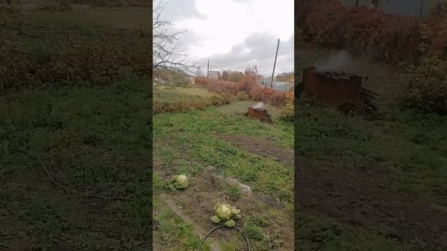 Продажа г.Чебаркуль, СНТ КРАНОВЩИК 3,9 СОТОК т.8-908-587-53-34