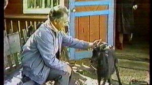 Портрет на фоне 1993