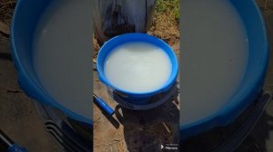Как быстро и эффективно избавиться от сорняков на картофельном участке