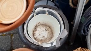 Приехали в новый посёлок | Шпермюль в Германии