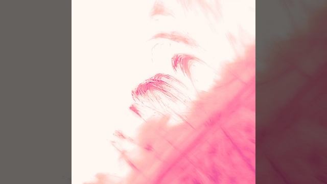 Кадры солнечной короны, явление корональный дождь.