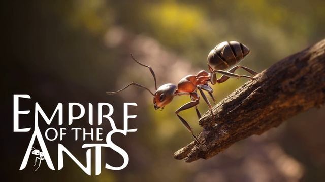 Empire of the Ants 2024 полный оригинальный саундтрек смотреть онлайн