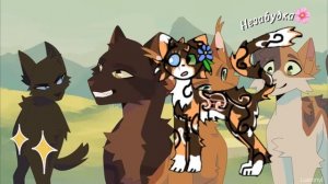 СМОТРЮ СЕРИАЛ ПО КВ /фиолетоглазка/ Там треш /Сниму про