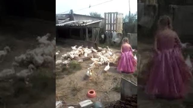 Ева. Золушка существует! !!! смотреть онлайн