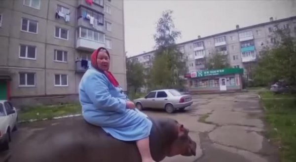 Возможности Veo 3