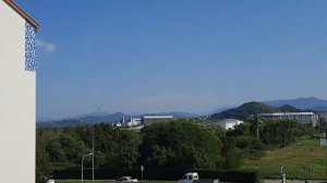 Утро и цветы! Отель Альфа Сириус (бывш. Имеретинский), М