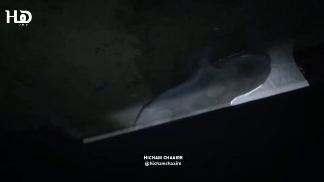 Ariza Turk Seryal Yakinda. Ариза турецкий сериал