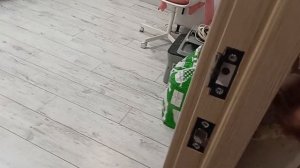 Заклинил замок закрытой межкомнатной двери. Устранен?