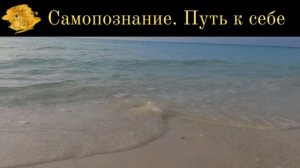 Медитация Джо Диспензы, 2 - я неделя. Ведёт Ирина Тюрева
