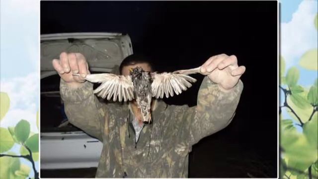 С Днем Рождения Димочка!!!!