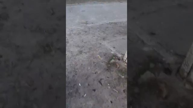 Нашли демона смотреть онлайн