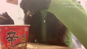 Кореянка одна в России 🇷🇺🚂 [ep.1] 나홀로 시베리아 횡단기 ¦ 블라디보스토크 여행 ¦ 러시아 여행 ¦ 시베리아 횡단열차