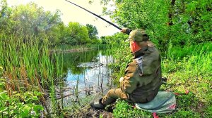 ЗАБРОСИЛ ПОПЛАВОК В ЛЕСНОЙ, ЗАТОПЛЕННЫЙ ОВРАГ.... Рыбалка на карася в мае.