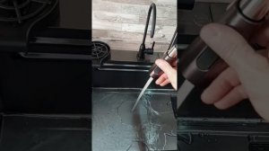 бомбическая китайская раковина