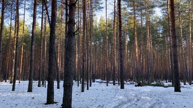 Я ПЕРЕЕДУ ЖИТЬ В КВАРТИРУ ТВОЕЙ ЖЕНЫ!... | Истории из жи
