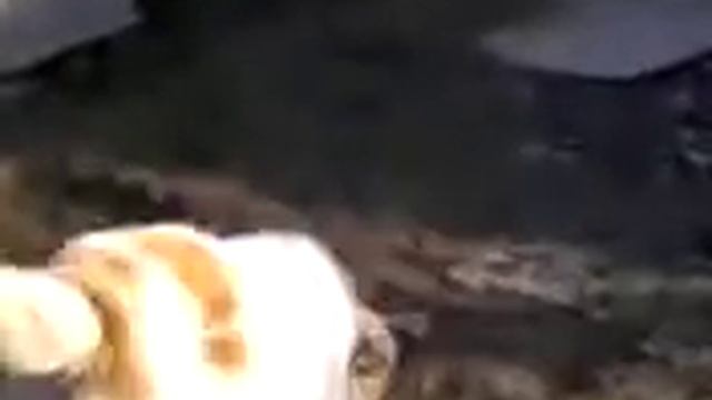 Не детские игры смотреть онлайн