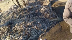 24 ЧАСА БОСИКОМ👣