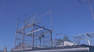 Курские голуби 28 апреля 2025 г.