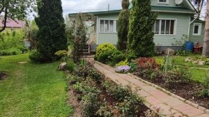 Уголки моего сада. Часть 1. Ленинградская область.